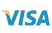 pay by visa card online